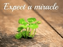 expect a miracle