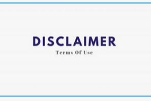 disclaimer page