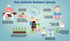 Everything Worth Knowing About Antibiotic Resistance