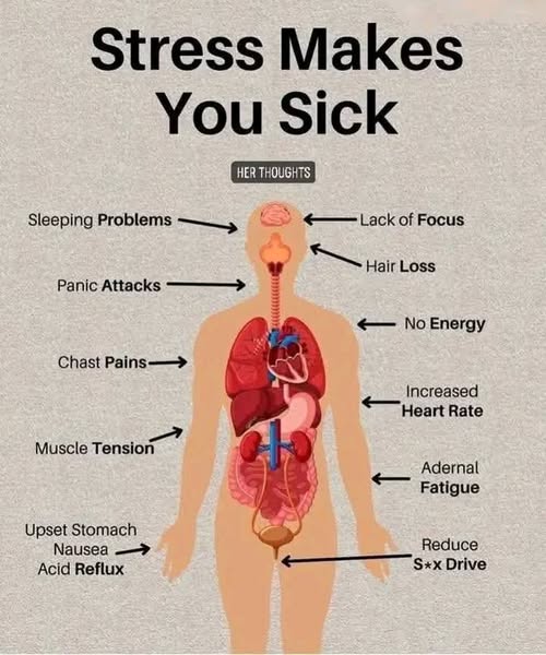 Stress Makes You Sick